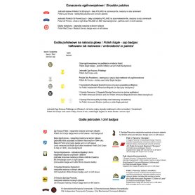 ToRo 1:35 Stopnie wojskowe i odznaki jednostek PSZ 1940-46
