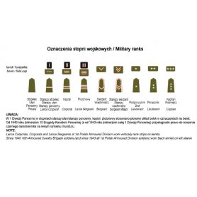 ToRo 1:35 Stopnie wojskowe i odznaki jednostek PSZ 1940-46