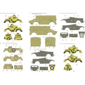 ToRo 1:72 Sam. pancerne w PSZ cz.1