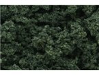 Woodland Listowie Dark Green Clump Foliag