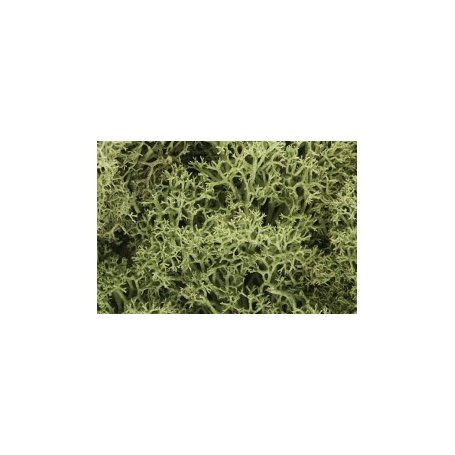 Woodland WL161 Zarośla - Spring Green Lichen (Bag
