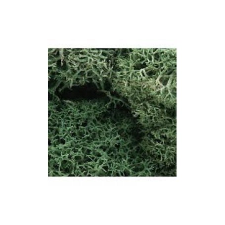 Woodland WL162 Zarośla - Light Green Lichen (Bag 1