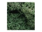 Woodland Zarośla Light Green Lichen