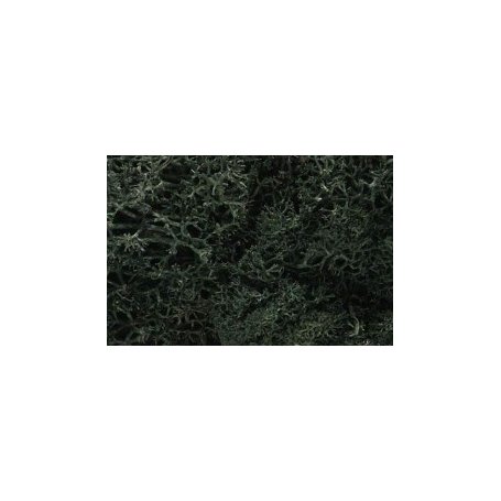 Woodland WL164 Zarośla - Drak Green Lichen (Bag 1.