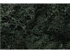 Woodland Zarośla Drak Green Lichen