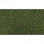 Woodland WRG5173 25 X 33 Forest Grass Rg Roll