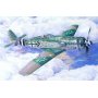 MASTERCRAFT C-09 FW-190 D9 MICHALSK