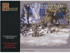 Pegasus 1:72 RUSSIAN INFANTRY IN GREARCOATS / WWII | 40 figurines | 