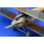 Eduard 1:48 Albatros D.II