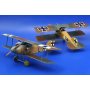 Eduard 1:48 Albatros D.II