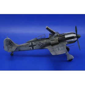 Eduard 1:48 Focke Wulf Fw-190 A-5