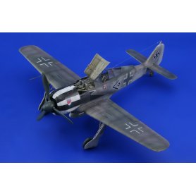 Eduard 1:48 Focke Wulf Fw-190 A-5