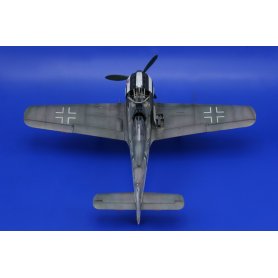 Eduard 1:48 Focke Wulf Fw-190 A-5
