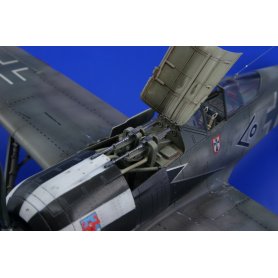 Eduard 1:48 Focke Wulf Fw-190 A-5
