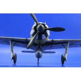 Eduard 1:48 Focke Wulf Fw-190 A-5