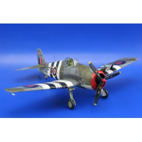Eduard 1:48 Hellcat Mk.I / Mk.II Dual Combo