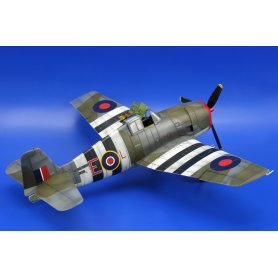 Eduard 1:48 Hellcat Mk.I / Mk.II Dual Combo