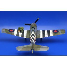 Eduard 1:48 Hellcat Mk.I / Mk.II Dual Combo