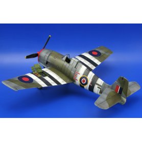 Eduard 1:48 Hellcat Mk.I / Mk.II Dual Combo