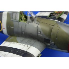 Eduard 1:48 Hellcat Mk.I / Mk.II Dual Combo