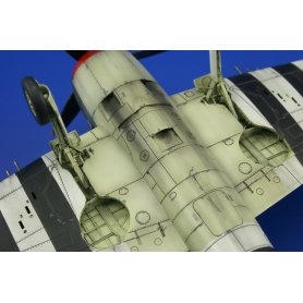 Eduard 1:48 Hellcat Mk.I / Mk.II Dual Combo