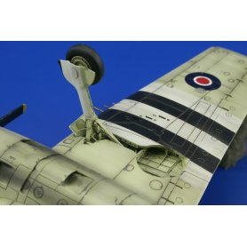 Eduard 1:48 Hellcat Mk.I / Mk.II Dual Combo
