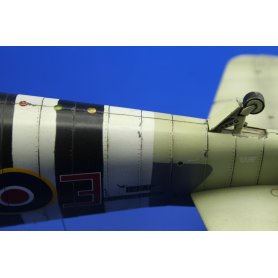 Eduard 1:48 Hellcat Mk.I / Mk.II Dual Combo