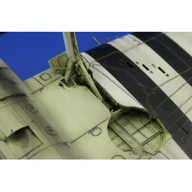 Eduard 1:48 Hellcat Mk.I / Mk.II Dual Combo
