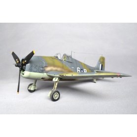Eduard 1:48 Hellcat Mk.I / Mk.II Dual Combo
