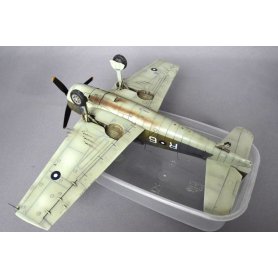 Eduard 1:48 Hellcat Mk.I / Mk.II Dual Combo