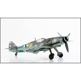 Eduard 1:48 Messerschmitt Bf-109 G ROYAL CLASS