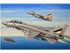 Hobby Boss 1:72 Grumman F-14D Super Tomcat
