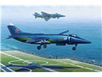 Hobby Boss 1:48 Yavkolev Yak-38 / Yak-38M Forger A