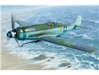 Hobby Boss 1:48 Focke Wulf Fw-190 D-12 / R-14