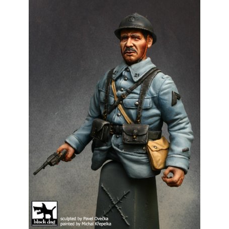 Black Dog French sergeant Verden 1916