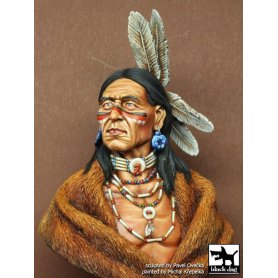 Black Dog Sioux Lakota