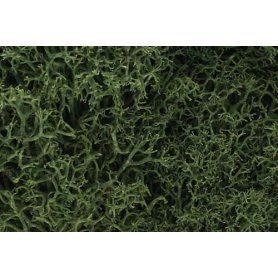 Woodland WL163 Zarośla - Medium Green Lichen (Bag 