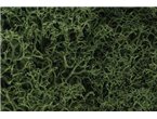 Woodland Zarośla Medium Green Lichen