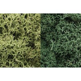 Woodland WL167 Zarośla - Light Green Mix Lichen (1