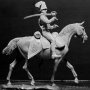 MB 1:32 3208 FRENCH HUSSAR