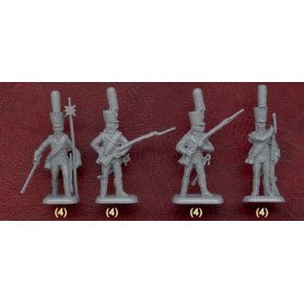 HaT 8072 1805 Russian Line Infantry