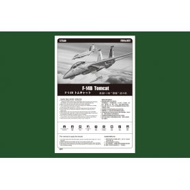 Hobby Boss 1:72 Grumman F-14B Tomcat