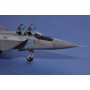Hobby Boss 1:48 MiG-31 Foxhound