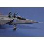 Hobby Boss 81753 Russian Mig-31 Foxhound