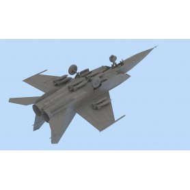ICM 1:48 MiG-25 RB