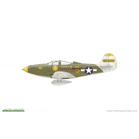 Eduard 1:48 Bell P-39K/N WEEKEND edition