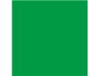 Mr.Color SPRAY S066 Bright Green - GLOSS - 100ml