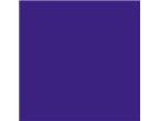 Mr.Color SPRAY S067 Purple - BŁYSZCZĄCY - 100ml
