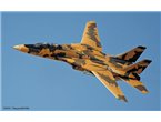 Hasegawa 1:72 Grumman F-14A IRANIAN AIR FORCE NEW / DESERTT SCHEME