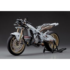 Hasegawa 1:12 Honda NSR500 1989 WGP500 